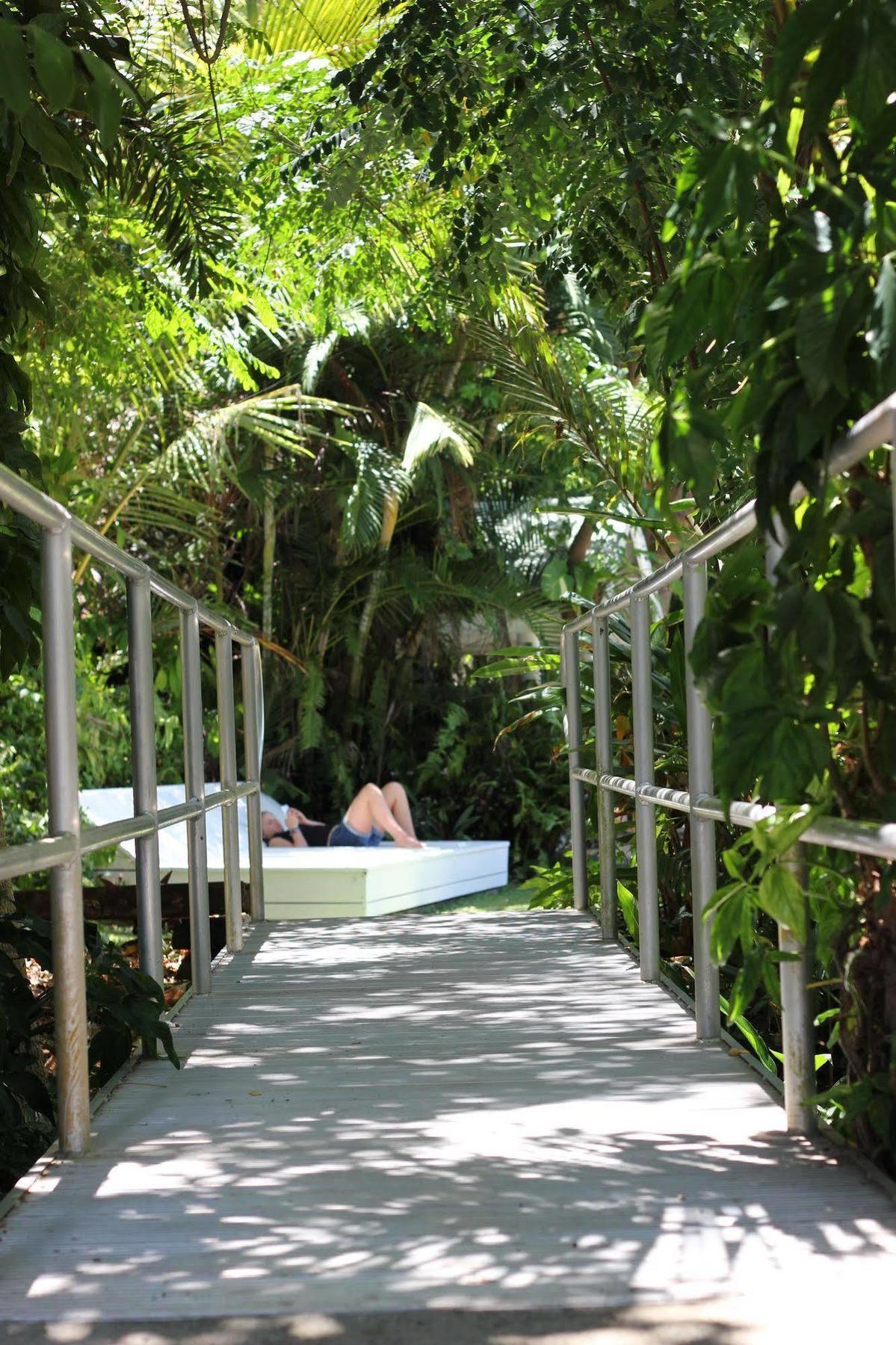Absolute Backpackers Mission Beach Bagian luar foto