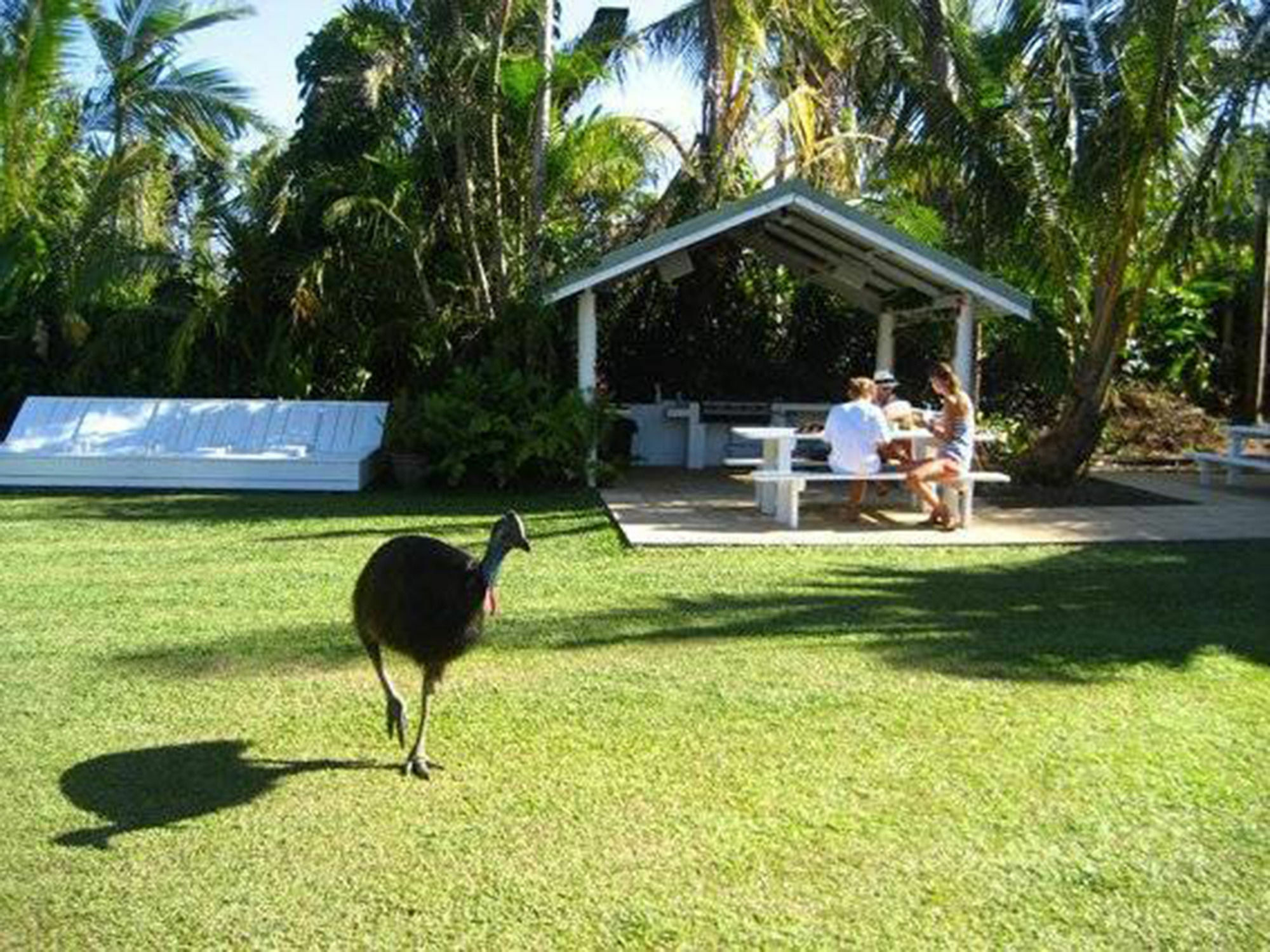 Absolute Backpackers Mission Beach Bagian luar foto